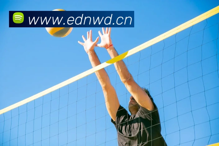 星空官方网站平台生态图